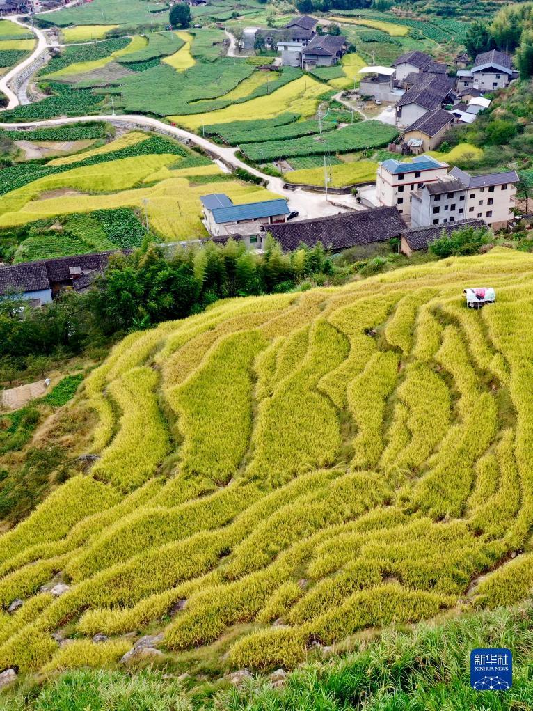 网页炸金花链接